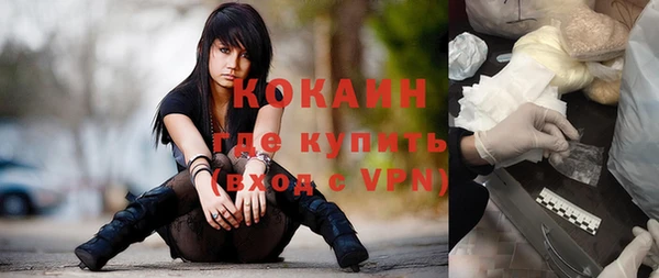 соль ск Абаза