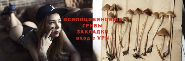 соль ск Абаза