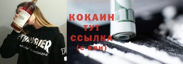 соль ск Абаза