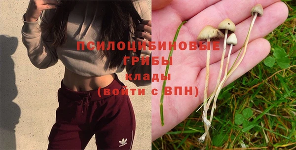 jwh Абинск