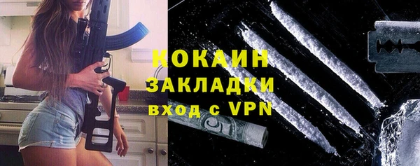 соль ск Абаза