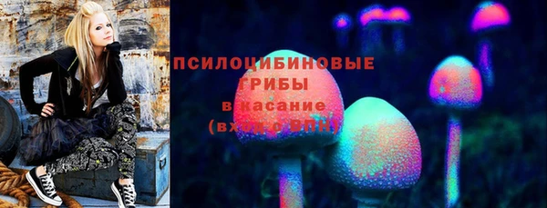 гидра Абдулино